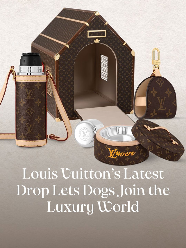 Louis Vuitton’s Latest Drop Lets Dogs Join the Luxury World_CandleMag